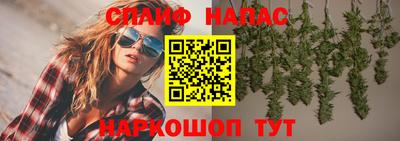 стаф Тверь