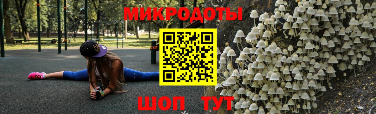 Павлово  Псилоцибиновые грибы мицелий  Вход с VPN  Псилоцибиновые грибы GOLDEN TEACHER 
